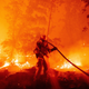 Image for article titled A Gender Reveal Party Sparked One of the Many Wildfires Raging Across California